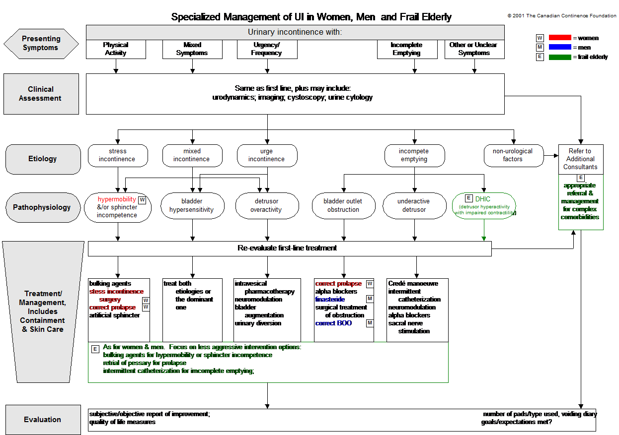 Continence Assessment Chart